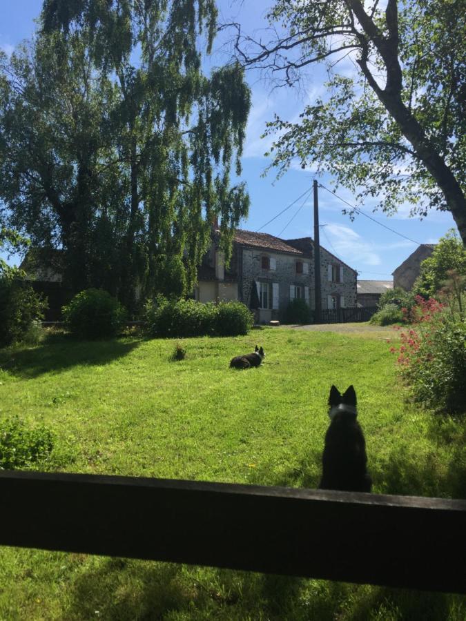 Le Gite Du Petit Renard: A Tranquil Gite With Pool Oradour-Saint-Genest Buitenkant foto